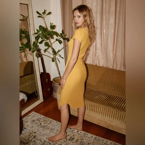 Wilfred Free Corin Dress - Picture 6 of 7